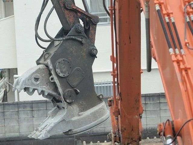 Freaks are around us (72 pics)