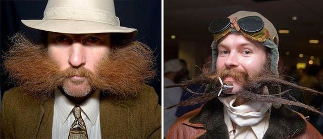 Freaks are around us (72 pics)