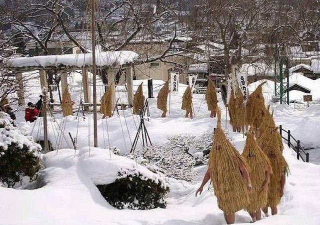 Freaks are around us (72 pics)