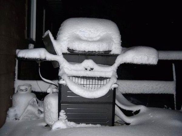 Freaks are around us (72 pics)