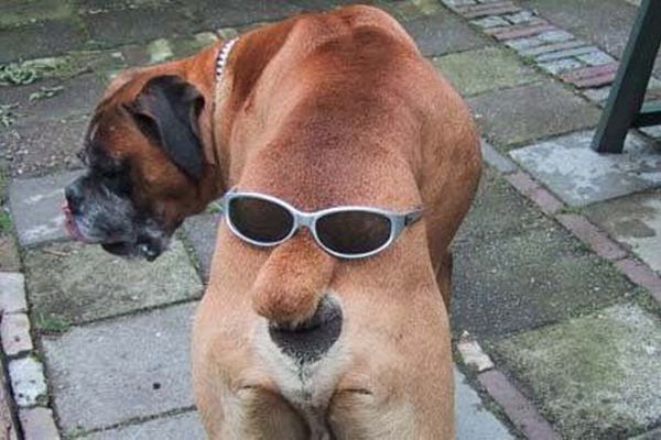 Freaks are around us (72 pics)