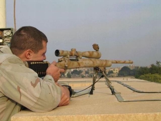 World through the eyes of a sniper (14 photos)