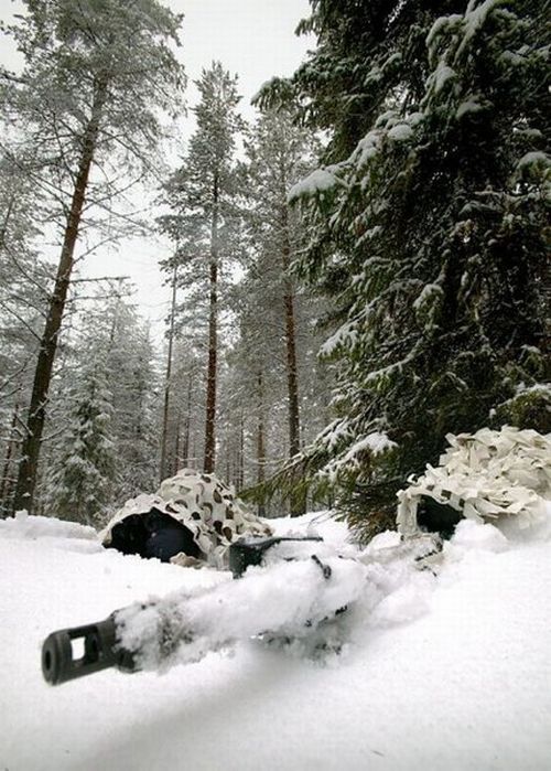 World through the eyes of a sniper (14 photos)