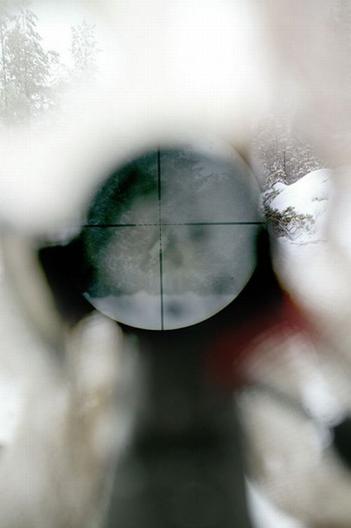 World through the eyes of a sniper (14 photos)