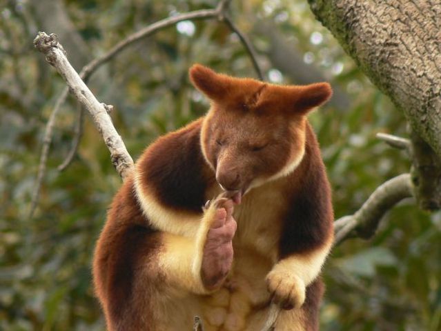 Wonders of nature (32 pics)
