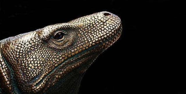 Wonders of nature (32 pics)