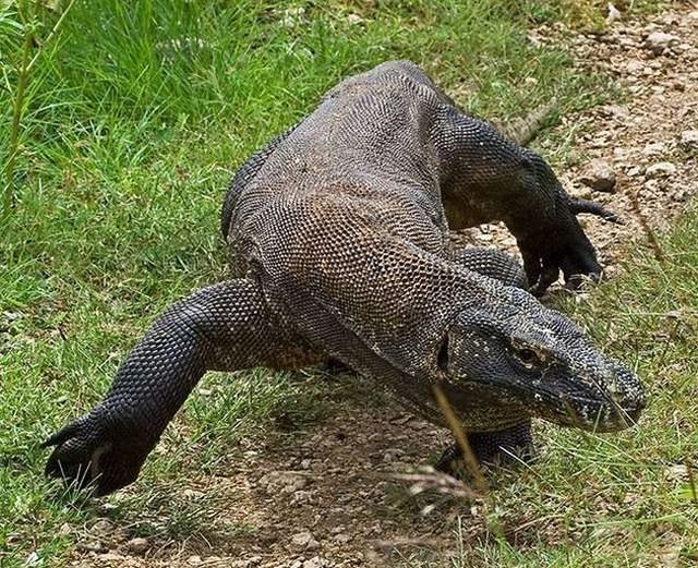 Wonders of nature (32 pics)