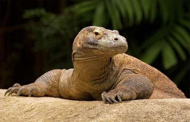 Wonders of nature (32 pics)