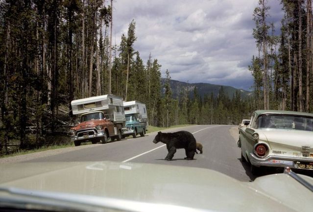 Good old times (90 pics)