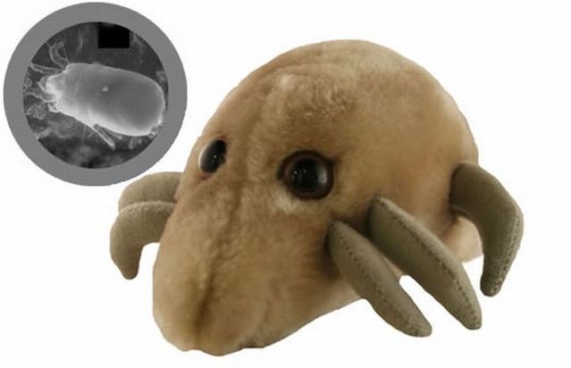 Most funniest microbes (15 pics)