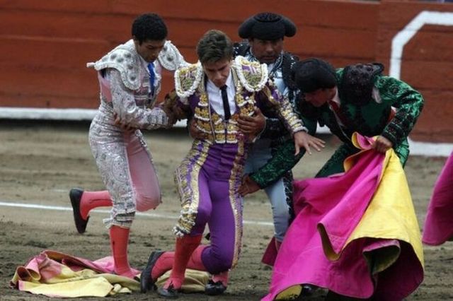 Bull’s revenge (6 pics)