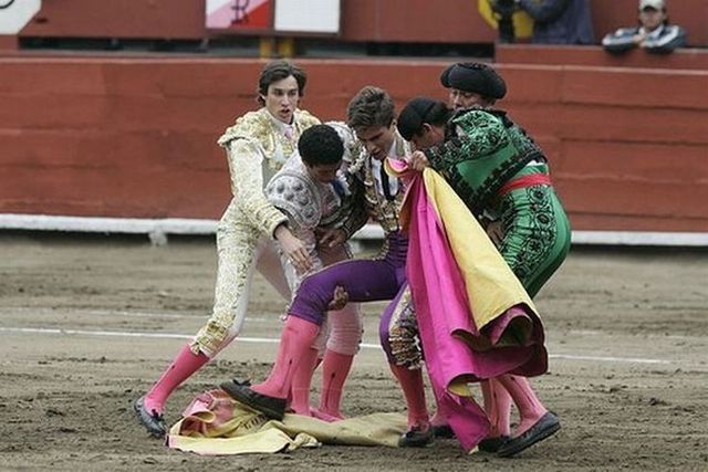 Bull’s revenge (6 pics)