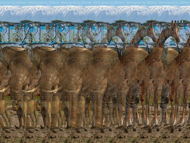 Stereograms to see hidden 3D images (30 pics)