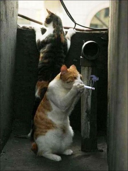 Daily picdump (103 pics)