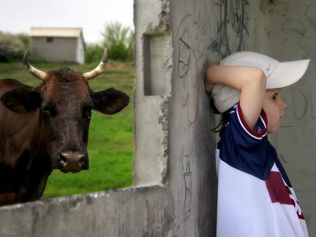 Daily picdump (103 pics)