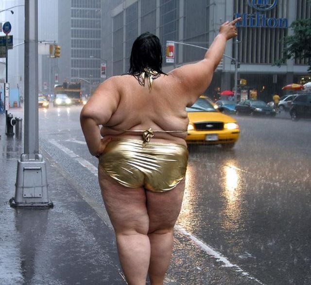 Daily picdump (103 pics)