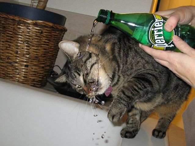 Daily picdump (103 pics)