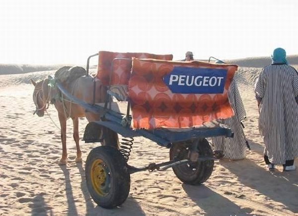 Daily picdump (103 pics)