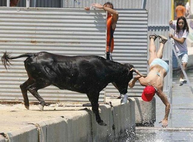 Daily picdump (103 pics)
