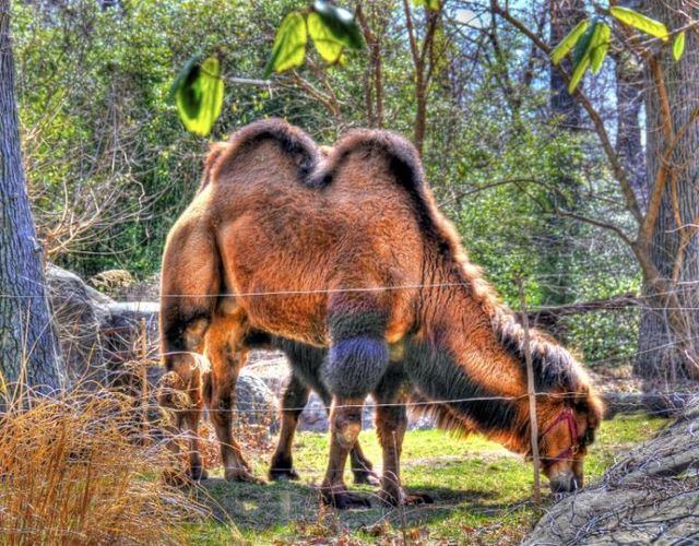 Just a great collection of beautiful HDR pictures (97 pics)