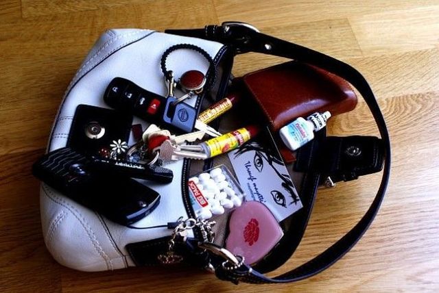 Secrets of women's handbags (50 pics)