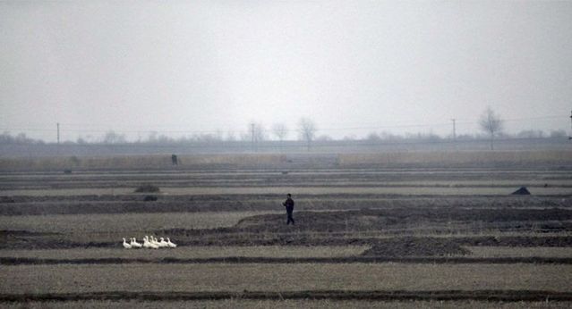 Country where a smile is hardly seen (37 pics)