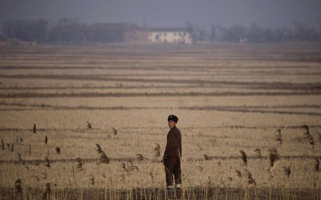 Country where a smile is hardly seen (37 pics)