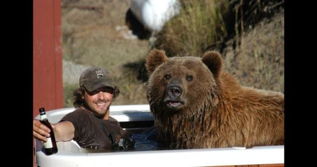 Having a 800-pound grizzly for a friend (23 pics)