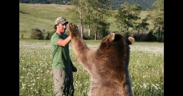 Having a 800-pound grizzly for a friend (23 pics)