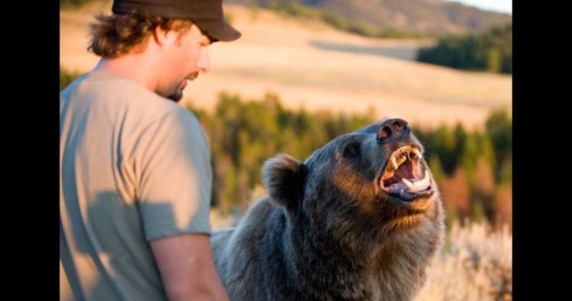 Having a 800-pound grizzly for a friend (23 pics)