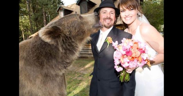 Having a 800-pound grizzly for a friend (23 pics)