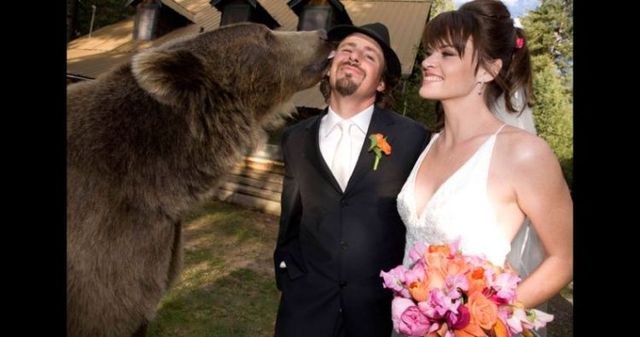 Having a 800-pound grizzly for a friend (23 pics)