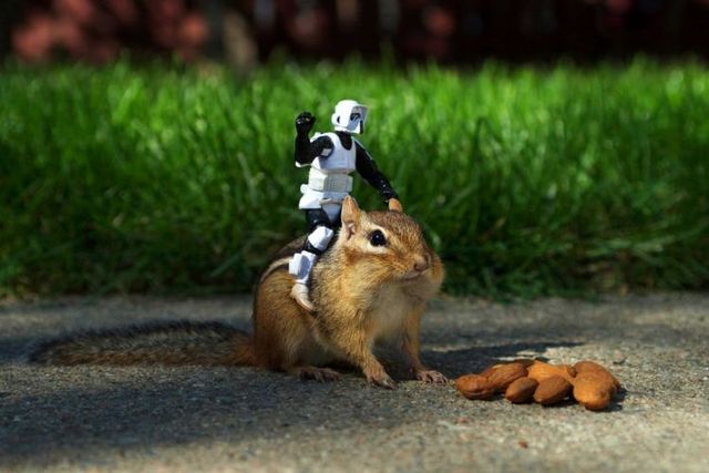 Daily picdump (107 pics)