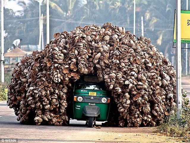 Daily picdump (107 pics)