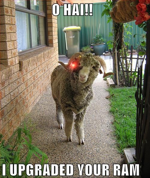 Daily picdump (107 pics)
