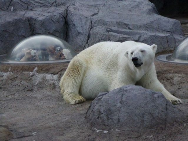 Daily picdump (107 pics)