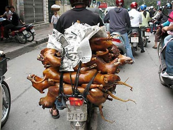 Transporting in Asian way (23 pics)