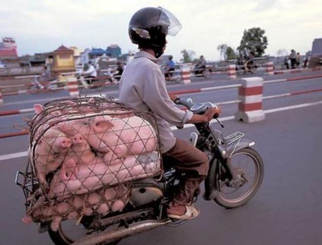 Transporting in Asian way (23 pics)