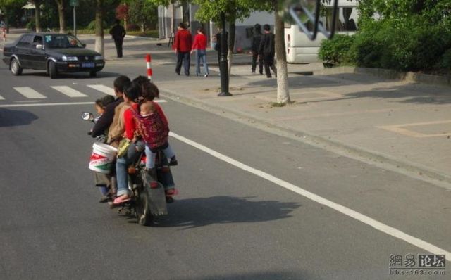 Transport for the whole family (8 pics)