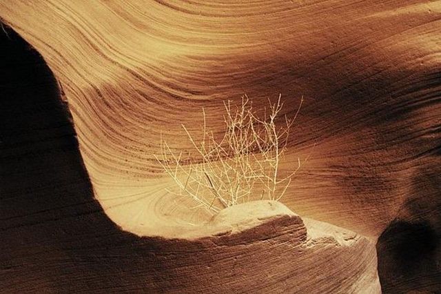 Magic place - Antelope Canyon (50 pics)