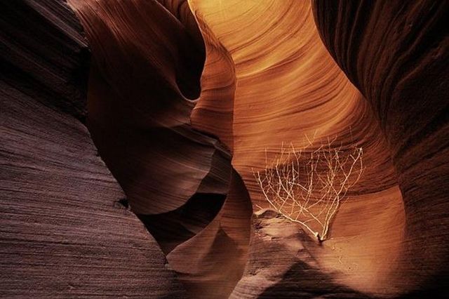 Magic place - Antelope Canyon (50 pics)