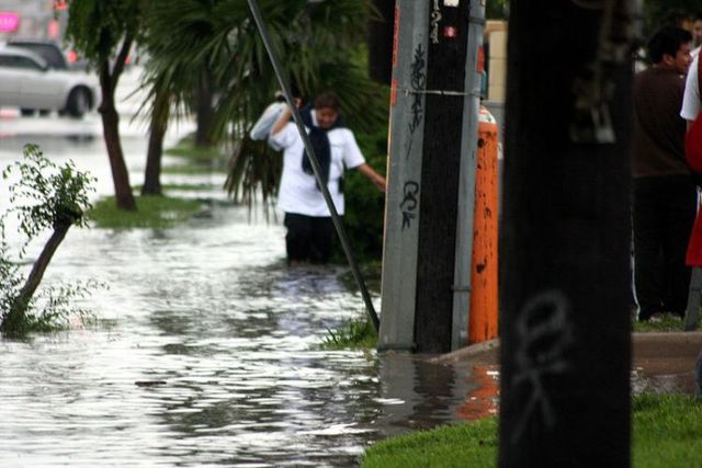 Houston was flooded (15 pics)