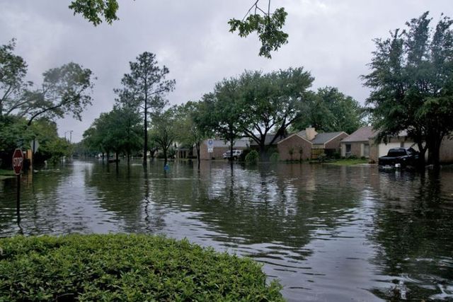 Houston was flooded (15 pics)