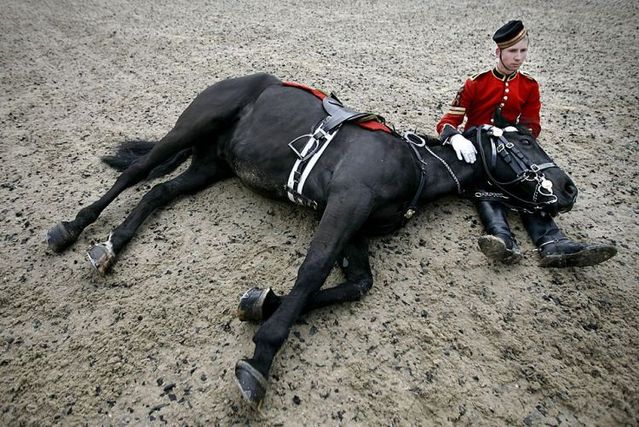 Daily picdump (106 pics)