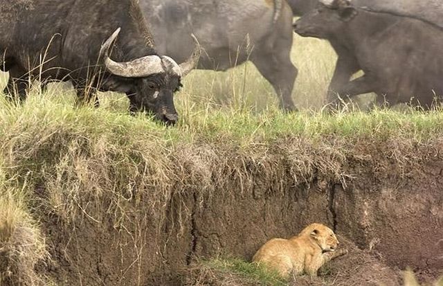 Daily picdump (106 pics)