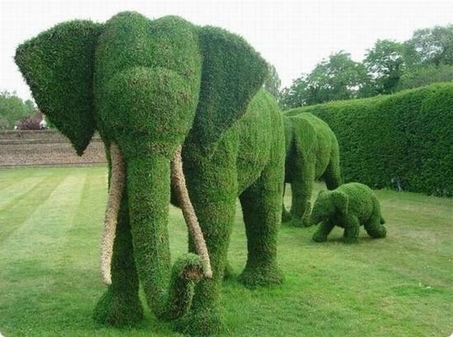 Daily picdump (106 pics)