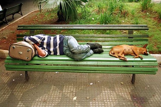Daily picdump (106 pics)