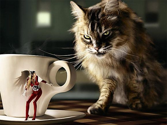 Daily picdump (106 pics)