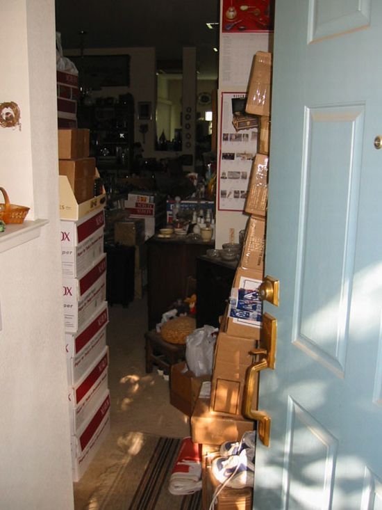 What the passion to the online auctions can bring to (54 pics)