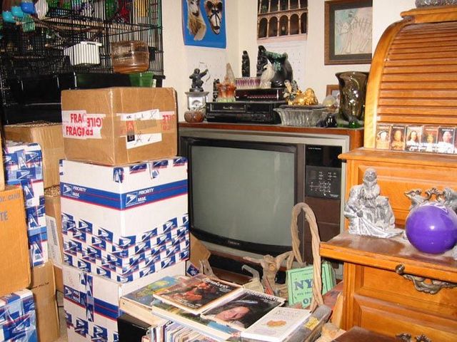 What the passion to the online auctions can bring to (54 pics)